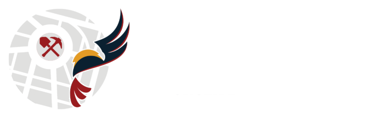 Mineralocity logo